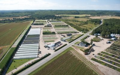 Le virage développement durable de la Pépinière Boucher, une démarche inspirante, un exemple à suivre!